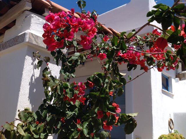 Villaggio Imbesi Villa San Giovanni Εξωτερικό φωτογραφία